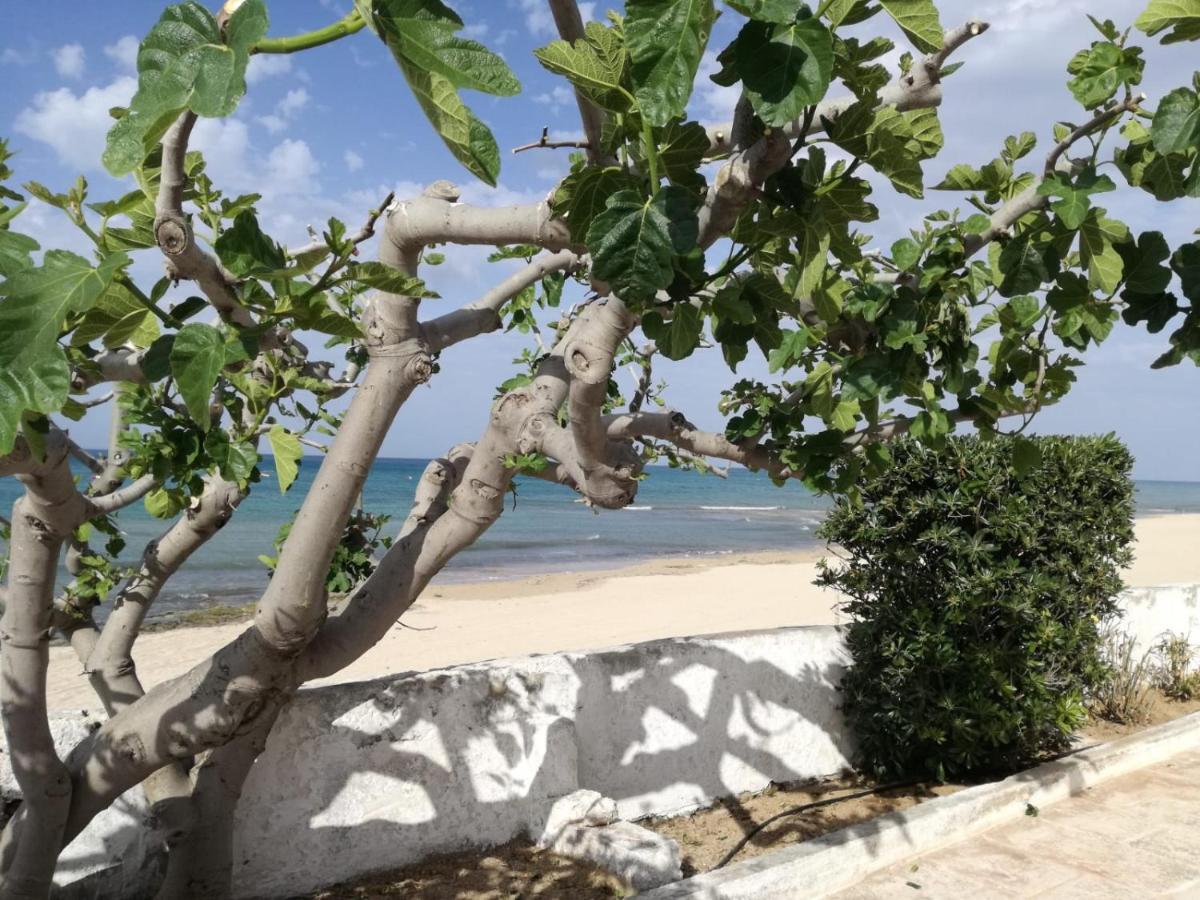 Dimora Grazia In Riva Al Mare Daire Monopoli Dış mekan fotoğraf